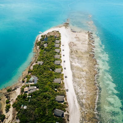 pexels-photo-34109834